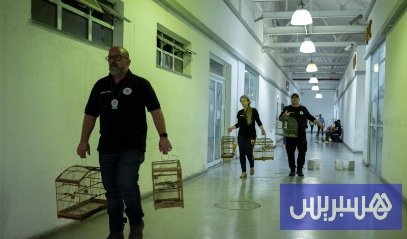 طلب متزايد على الحيوانات الغريبة ينعش تجارة غير قانونية عالمياً