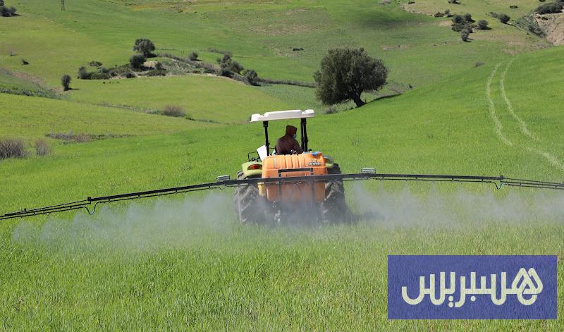 “الأمن الغذائي أولا”.. مركز مغربي يوصي بإعادة توجيه السياسات الفلاحية