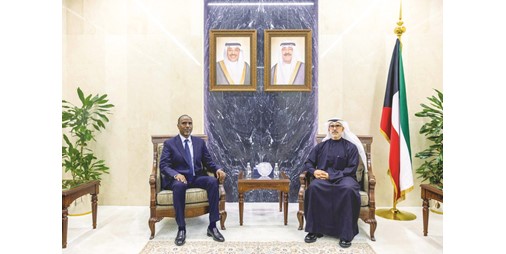 نائب وزير الخارجية يبحث مع سفيري الهند وجيبوتي القضايا الإقليمية والدولية