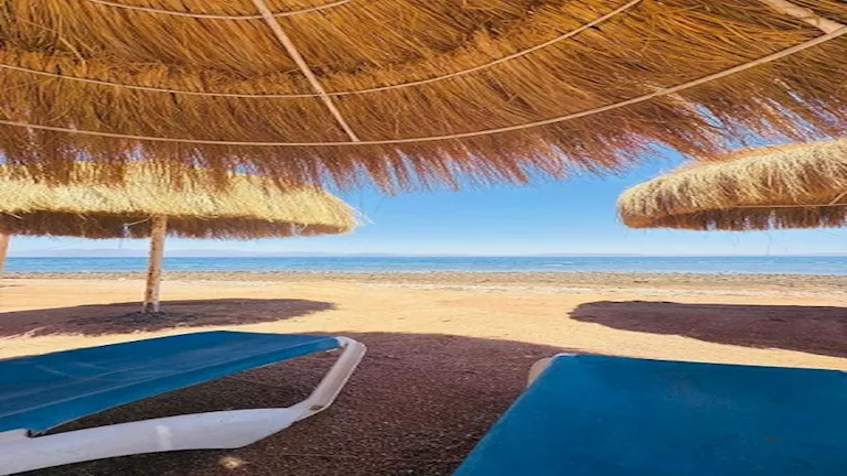 أسعار أرخص رحلة شتوية في مصر