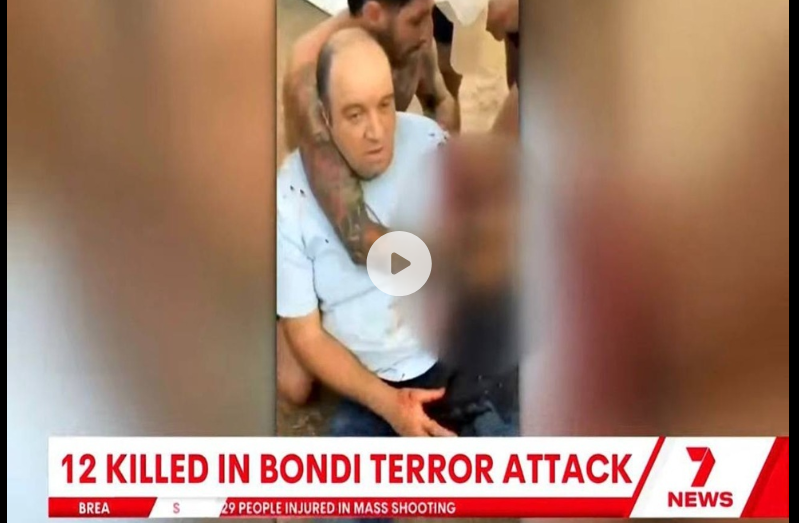 من هو أحمد الأحمد؟ بائع فواكه يتحوّل إلى بطل ويُحبط هجوم سيدني – النيل 24