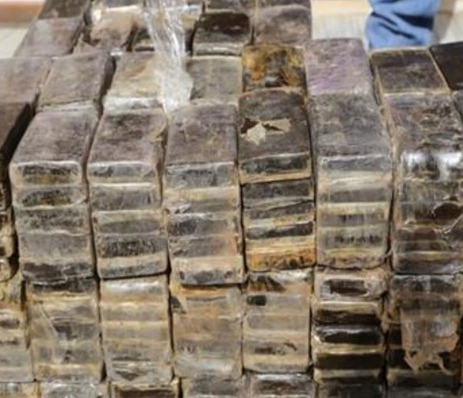 ضبط ٦٢ طربة حشيش داخل محطة مياه بسمنود – النيل 24