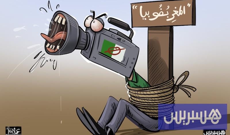 اليقظة الصومالية تفضح الآلة الدعائية الجزائرية حول قضية الصحراء المغربية