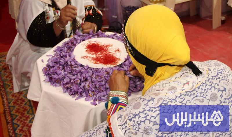 هل تحمي الرسوم الجمركية الزعفران المغربي من المنافسة الأجنبية في 2026؟