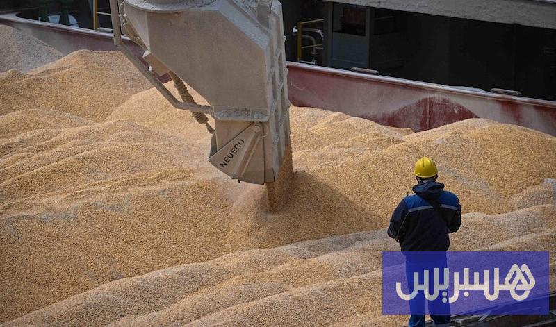 المغرب يتجنب دعم توريد القمح اللين