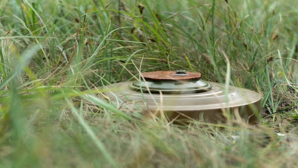 اليمن.. إتلاف 636 قطعة من الألغام والذخائر غير المنفجرة في المكلا